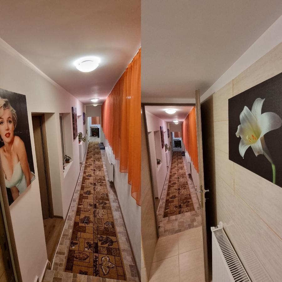 브라쇼브 Roca House 빌라 외부 사진