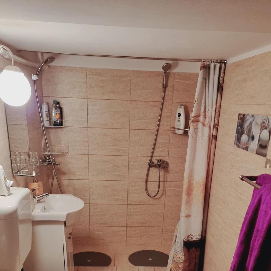 브라쇼브 Roca House 빌라 외부 사진