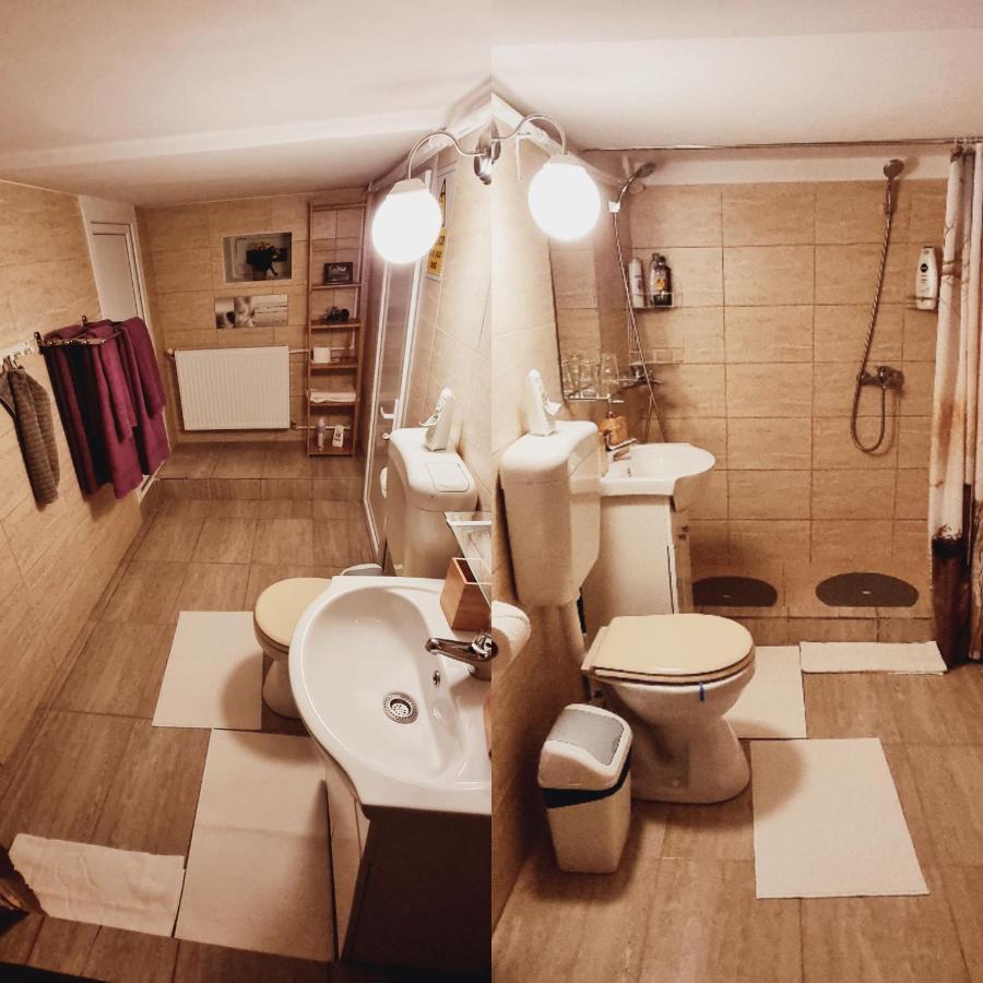 브라쇼브 Roca House 빌라 외부 사진
