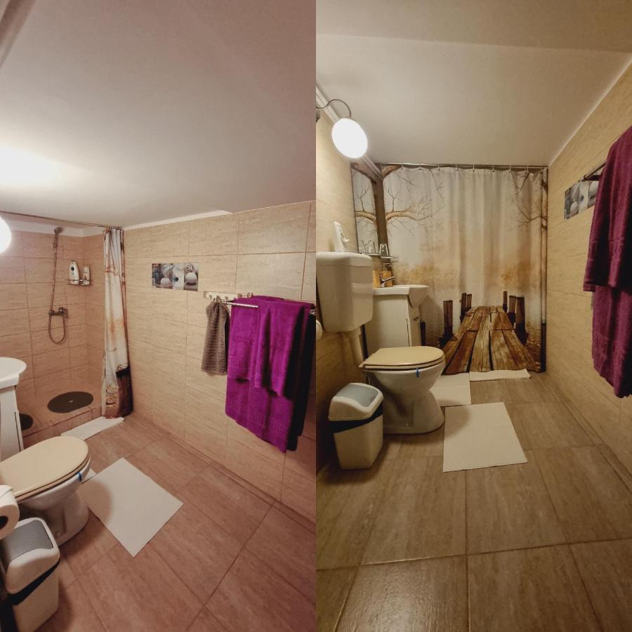 브라쇼브 Roca House 빌라 외부 사진